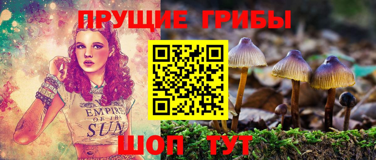 Галлюциногенные грибы Psilocybine cubensis  Вход с VPN  Алейск 